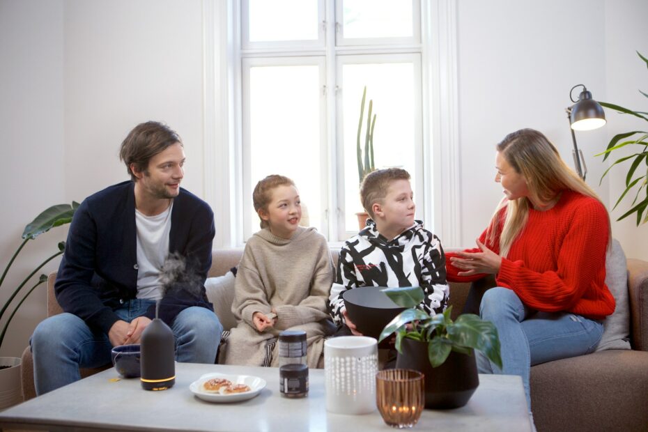 Family mediation